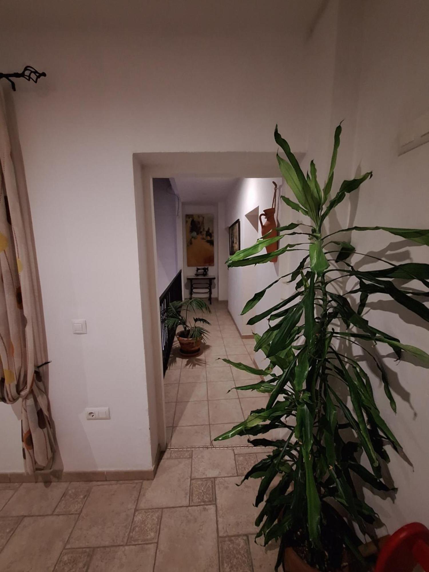 Hostal Fenix Jerez de la Frontera Ngoại thất bức ảnh